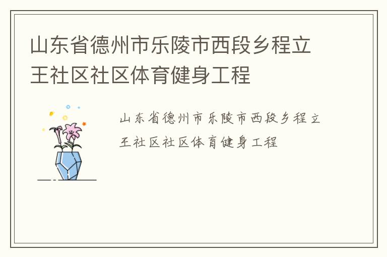 山東省德州市樂陵市西段鄉程立王社區社區體育健身工程