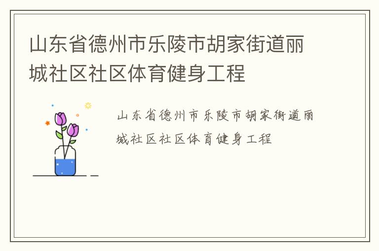 山東省德州市樂陵市胡家街道麗城社區社區體育健身工程