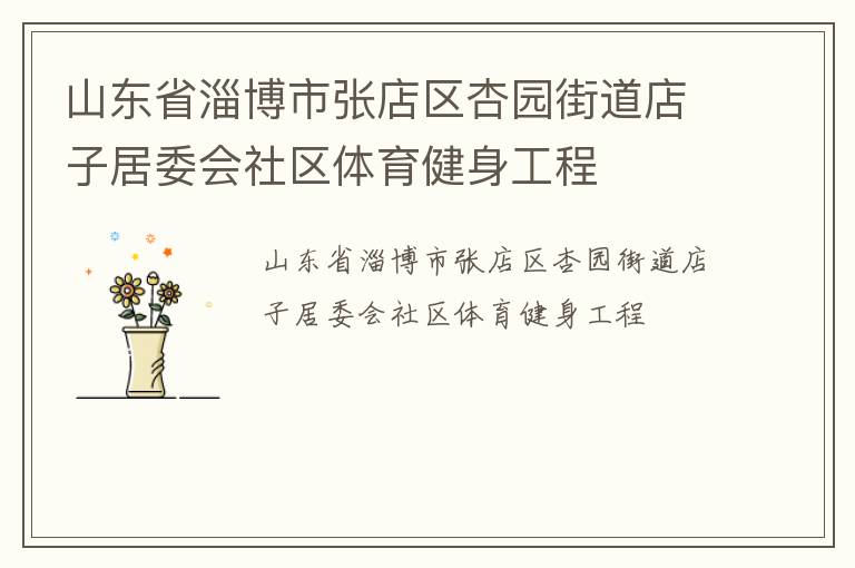 山東省淄博市張店區杏園街道店子居委會社區體育健身工程