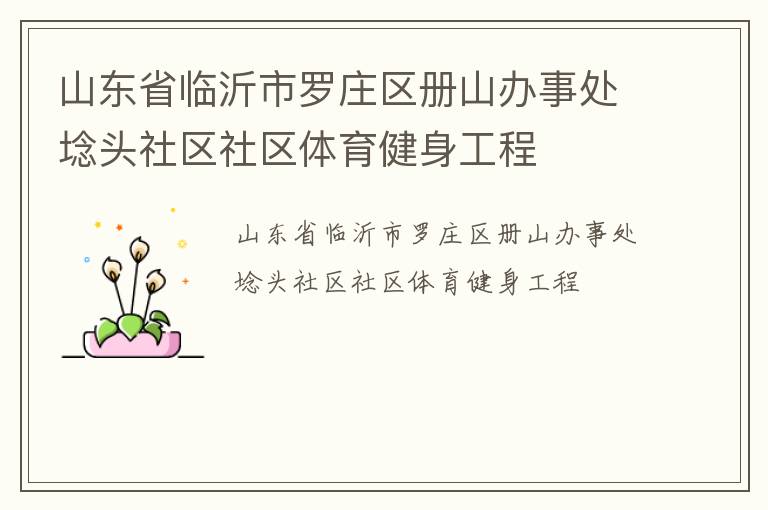 山東省臨沂市羅莊區冊山辦事處埝頭社區社區體育健身工程