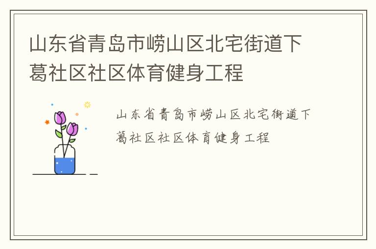 山東省青島市嶗山區北宅街道下葛社區社區體育健身工程