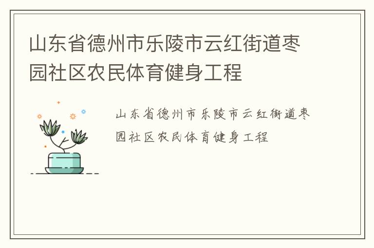 山東省德州市樂陵市云紅街道棗園社區農民體育健身工程