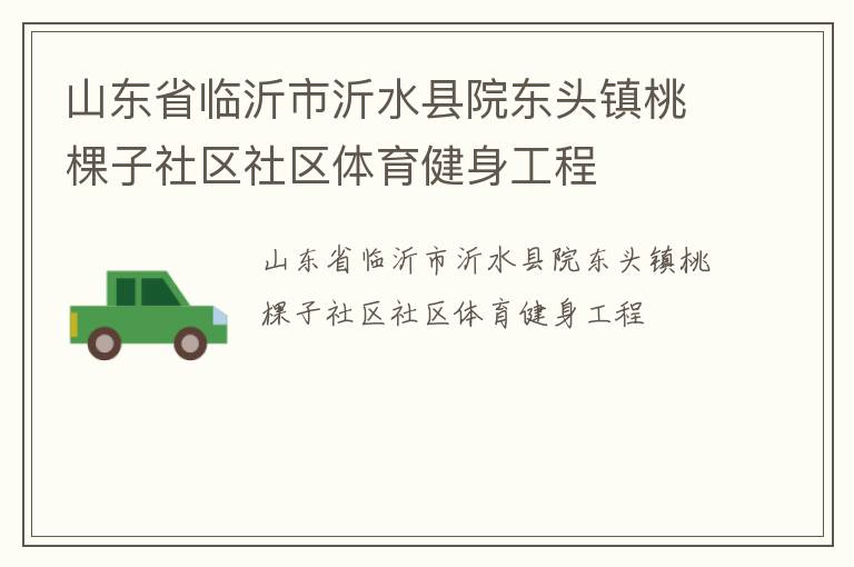 山東省臨沂市沂水縣院東頭鎮桃棵子社區社區體育健身工程