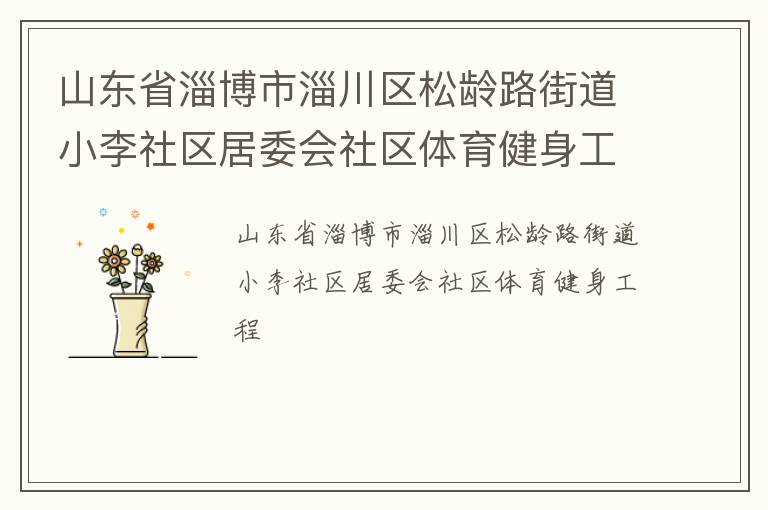 山東省淄博市淄川區松齡路街道小李社區居委會社區體育健身工程