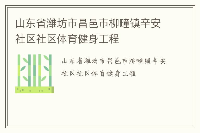 山東省濰坊市昌邑市柳疃鎮辛安社區社區體育健身工程