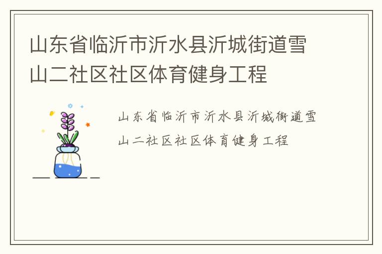 山東省臨沂市沂水縣沂城街道雪山二社區社區體育健身工程