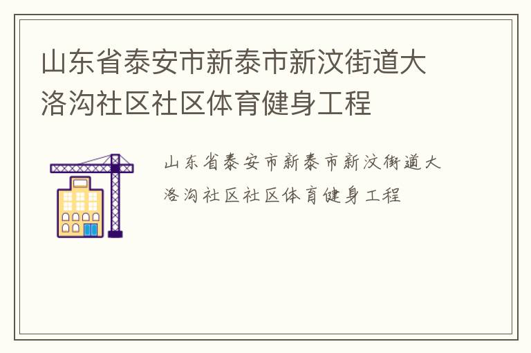 山東省泰安市新泰市新汶街道大洛溝社區社區體育健身工程