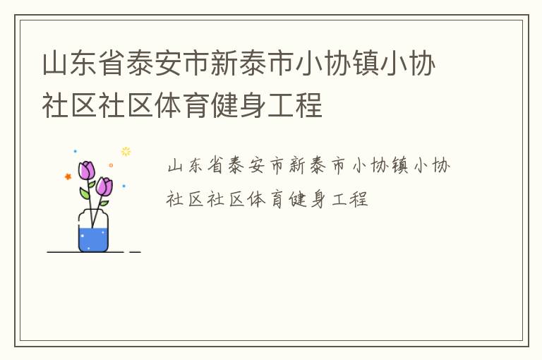 山東省泰安市新泰市小協鎮小協社區社區體育健身工程