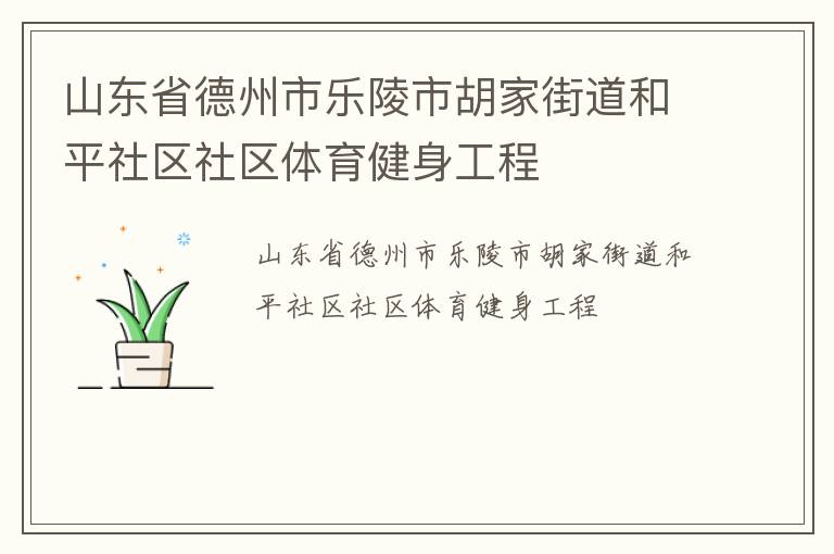 山東省德州市樂陵市胡家街道和平社區社區體育健身工程