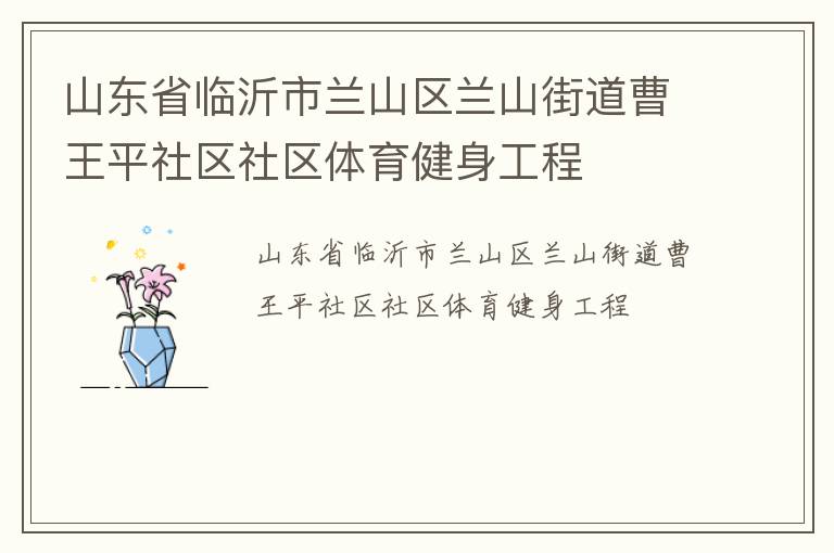 山東省臨沂市蘭山區蘭山街道曹王平社區社區體育健身工程