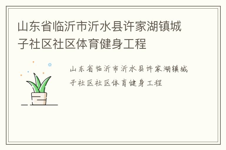山東省臨沂市沂水縣許家湖鎮城子社區社區體育健身工程