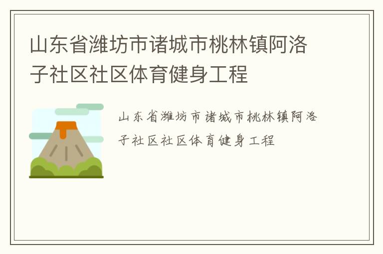 山東省濰坊市諸城市桃林鎮阿洛子社區社區體育健身工程