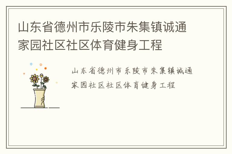 山東省德州市樂陵市朱集鎮誠通家園社區社區體育健身工程