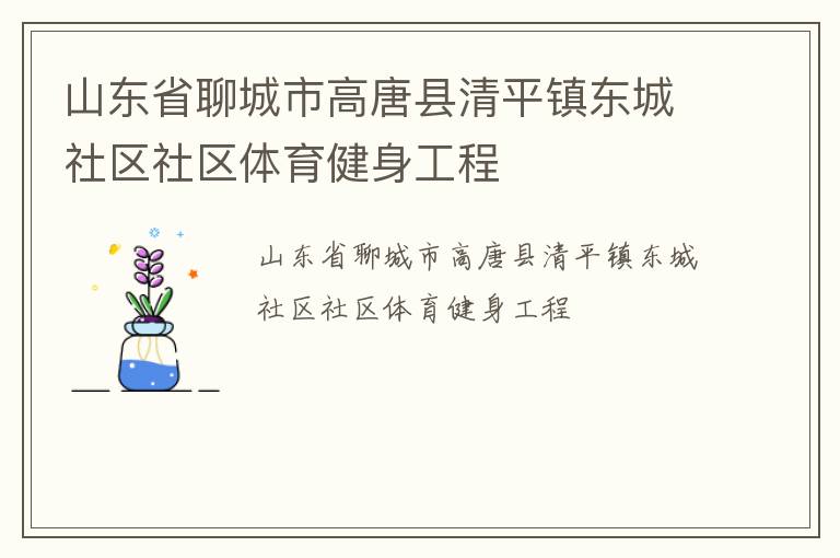 山東省聊城市高唐縣清平鎮東城社區社區體育健身工程
