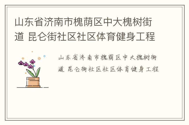山東省濟南市槐蔭區(qū)中大槐樹街道 昆侖街社區(qū)社區(qū)體育健身工程