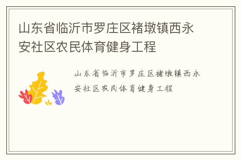山東省臨沂市羅莊區褚墩鎮西永安社區農民體育健身工程