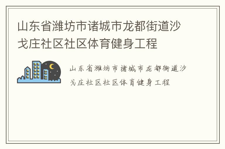山東省濰坊市諸城市龍都街道沙戈莊社區社區體育健身工程
