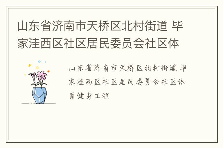山東省濟南市天橋區北村街道 畢家洼西區社區居民委員會社區體育健身工程
