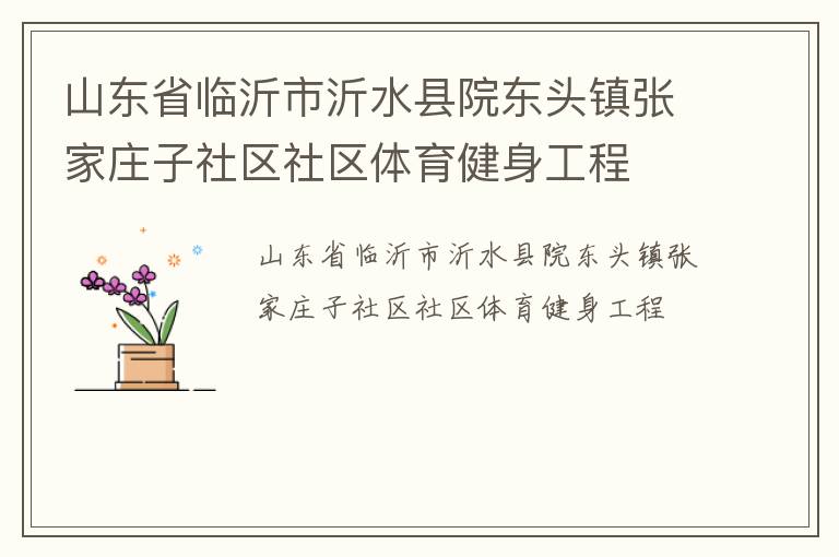 山東省臨沂市沂水縣院東頭鎮張家莊子社區社區體育健身工程
