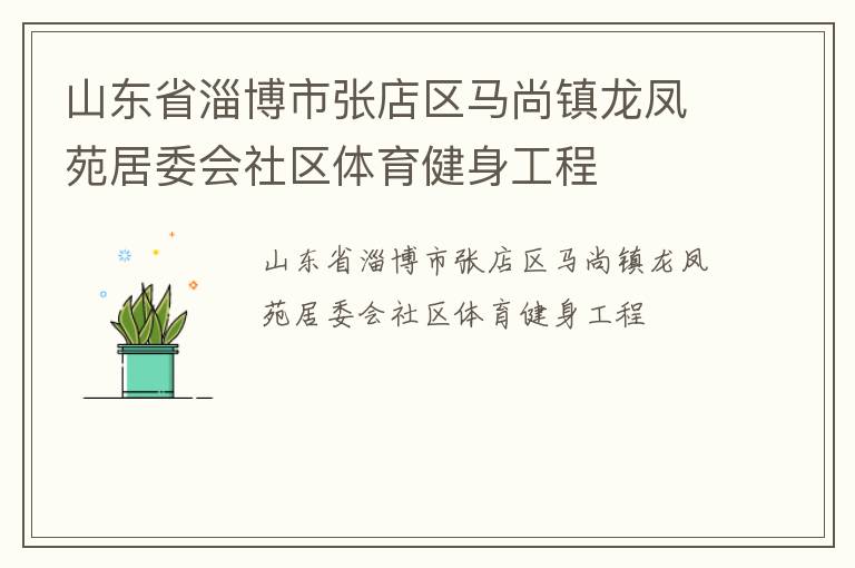 山東省淄博市張店區馬尚鎮龍鳳苑居委會社區體育健身工程