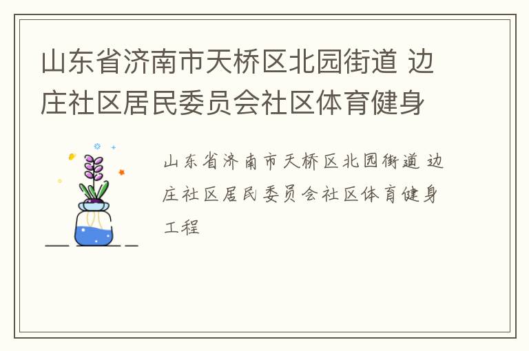 山東省濟南市天橋區北園街道 邊莊社區居民委員會社區體育健身工程