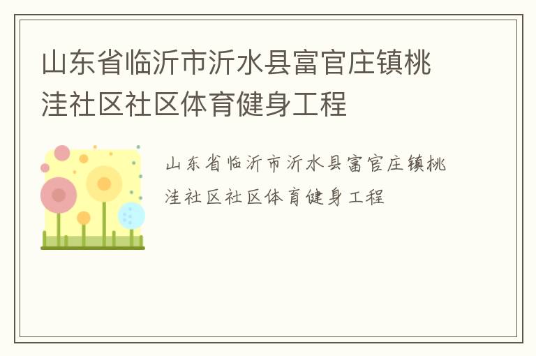 山東省臨沂市沂水縣富官莊鎮桃洼社區社區體育健身工程