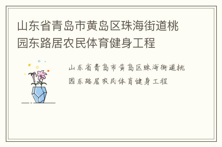 山東省青島市黃島區珠海街道桃園東路居農民體育健身工程