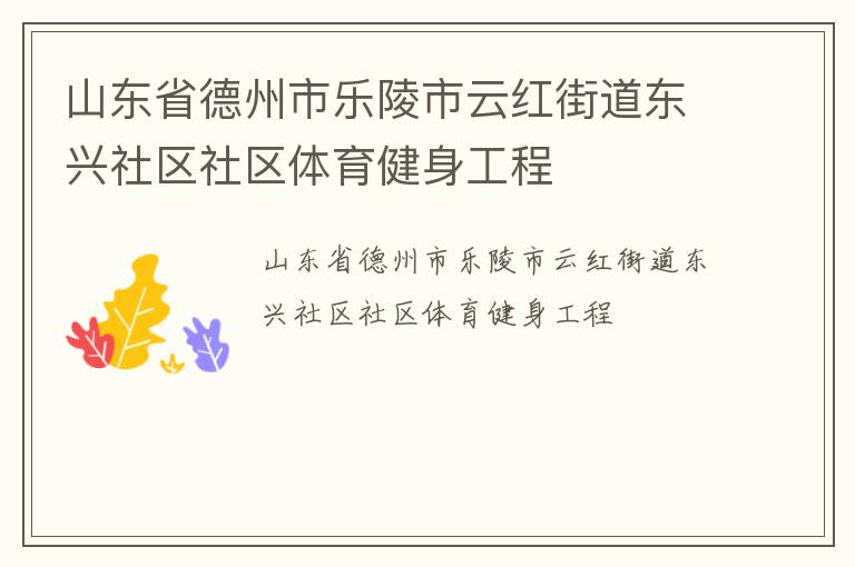 山東省德州市樂陵市云紅街道東興社區社區體育健身工程