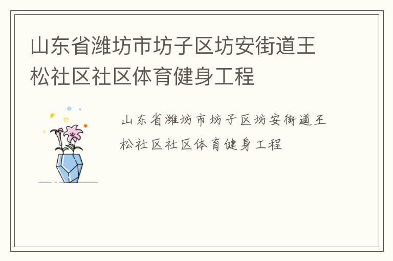 山東省濰坊市坊子區坊安街道王松社區社區體育健身工程