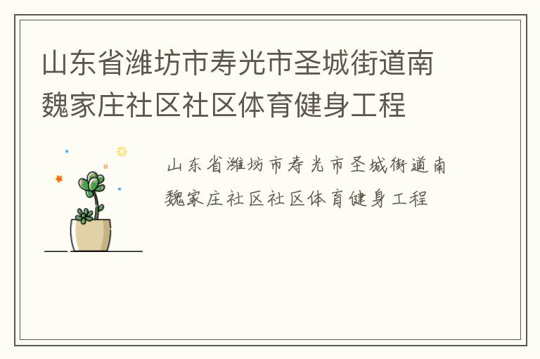 山東省濰坊市壽光市圣城街道南魏家莊社區社區體育健身工程