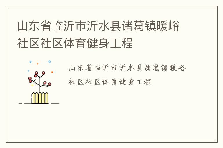 山東省臨沂市沂水縣諸葛鎮暖峪社區社區體育健身工程
