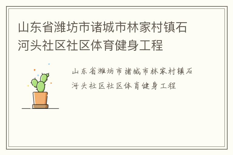 山東省濰坊市諸城市林家村鎮石河頭社區社區體育健身工程