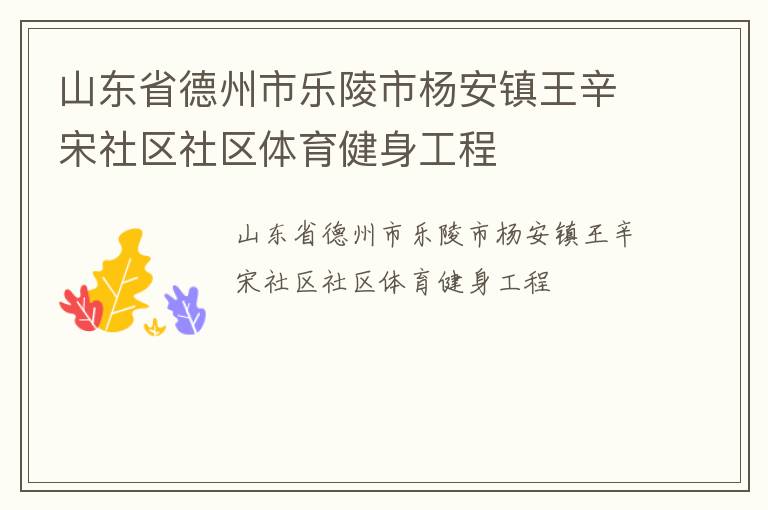 山東省德州市樂陵市楊安鎮王辛宋社區社區體育健身工程