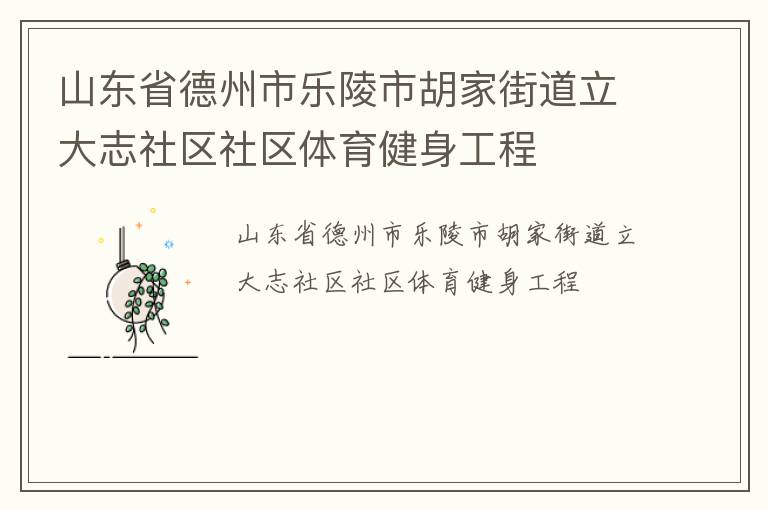 山東省德州市樂陵市胡家街道立大志社區社區體育健身工程