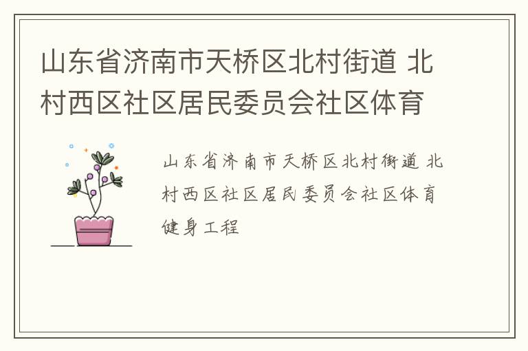 山東省濟南市天橋區北村街道 北村西區社區居民委員會社區體育健身工程