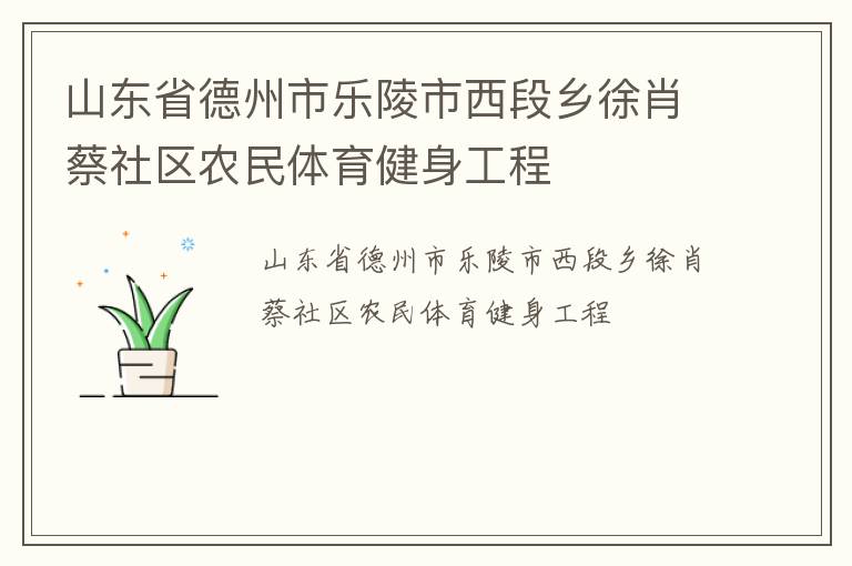 山東省德州市樂陵市西段鄉(xiāng)徐肖蔡社區(qū)農(nóng)民體育健身工程