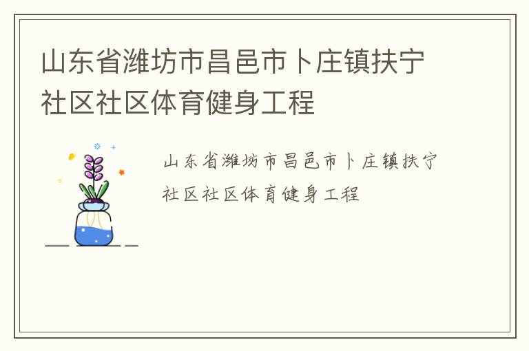 山東省濰坊市昌邑市卜莊鎮扶寧社區社區體育健身工程