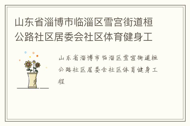 山東省淄博市臨淄區雪宮街道桓公路社區居委會社區體育健身工程