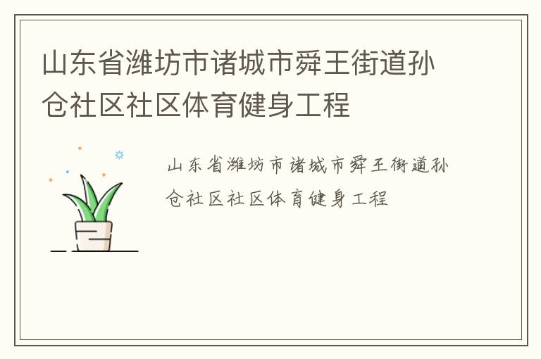 山東省濰坊市諸城市舜王街道孫倉社區(qū)社區(qū)體育健身工程