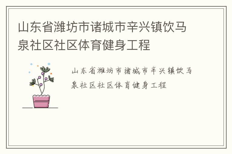 山東省濰坊市諸城市辛興鎮飲馬泉社區社區體育健身工程