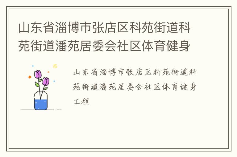 山東省淄博市張店區科苑街道科苑街道潘苑居委會社區體育健身工程