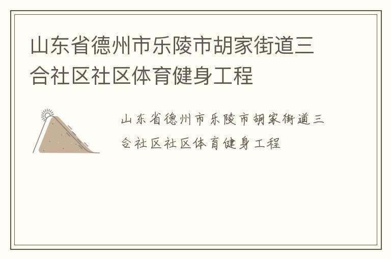 山東省德州市樂陵市胡家街道三合社區社區體育健身工程
