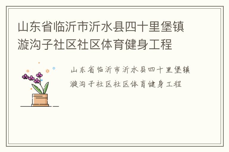 山東省臨沂市沂水縣四十里堡鎮漩溝子社區社區體育健身工程