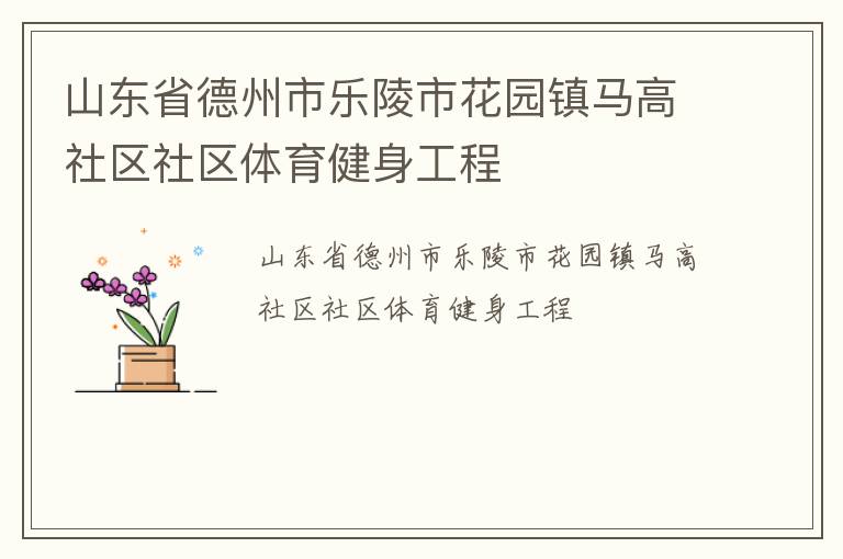 山東省德州市樂陵市花園鎮馬高社區社區體育健身工程