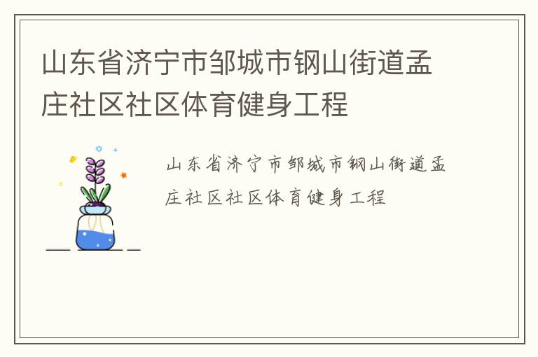 山東省濟寧市鄒城市鋼山街道孟莊社區社區體育健身工程