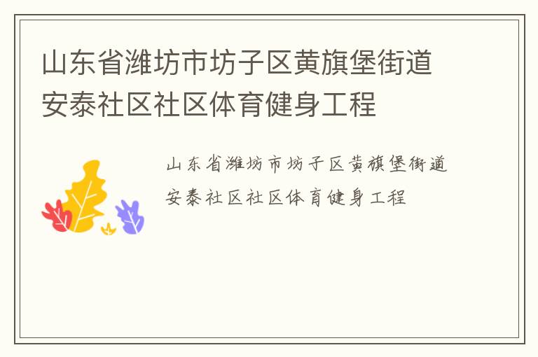 山東省濰坊市坊子區(qū)黃旗堡街道安泰社區(qū)社區(qū)體育健身工程