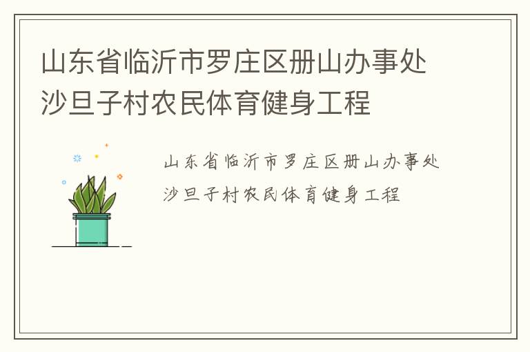 山東省臨沂市羅莊區(qū)冊山辦事處沙旦子村農(nóng)民體育健身工程