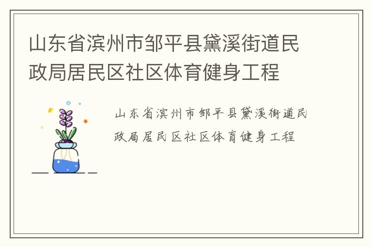 山東省濱州市鄒平縣黛溪街道民政局居民區社區體育健身工程