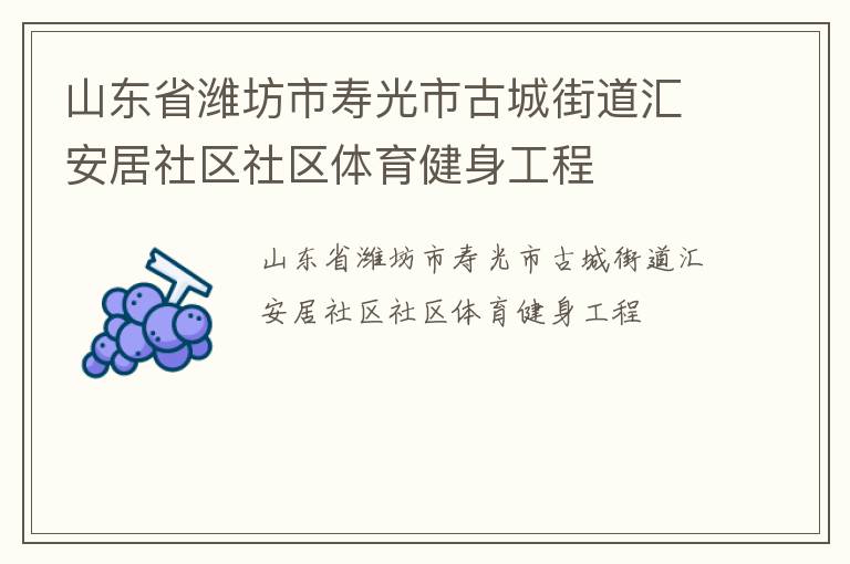 山東省濰坊市壽光市古城街道匯安居社區社區體育健身工程
