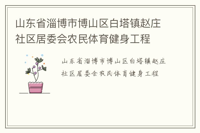 山東省淄博市博山區白塔鎮趙莊社區居委會農民體育健身工程
